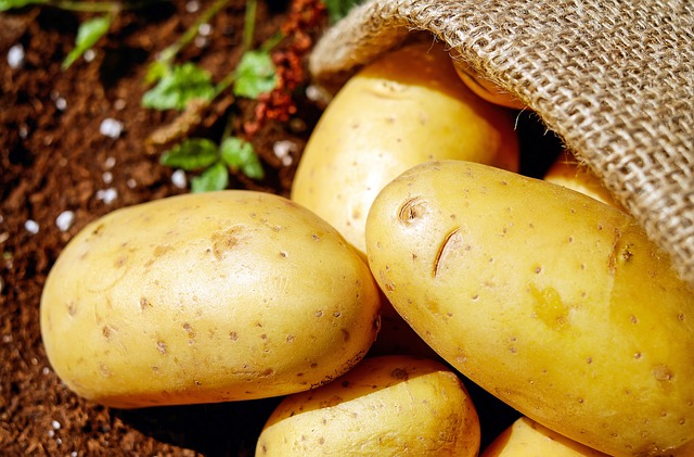 A photo of a couple white potatoes